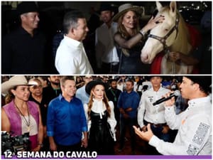 🚨 Governo Mauro Mendes faz contrato de R$ 1,6 milhão por inexigibilidade em projeto de cavalos, mas Cuiabá já tem entidade no setor