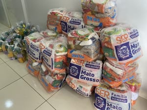 Governo de MT já movimentou R$ 168,7 milhões em cestas básicas à Flor de Maio Comércio Varejista de Produtos Alimentícios.