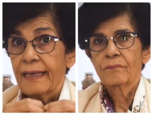 Marilena Chaui disseca o papel da classe média: “sonha com a elite, teme o povo e reproduz a ideologia dominante”