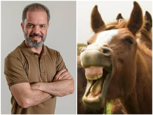 R$ 6,5 Milhões: “Entre relinchos, galopes e abanos de rabos a semana do cavalo já recebeu muitos recursos principalmente das emendas do deputado estadual Paulo Araújo”