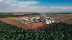 Gigante do Agro: Amaggi adquire 40% da FS e assume protagonismo no mercado de etanol de milho