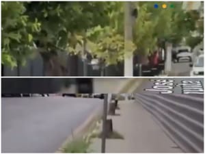 CAOS AMBIENTAL: Prefeitura de Cuiabá autoriza derrubada de árvores no Araés, mas envia fiscalização após denúncia